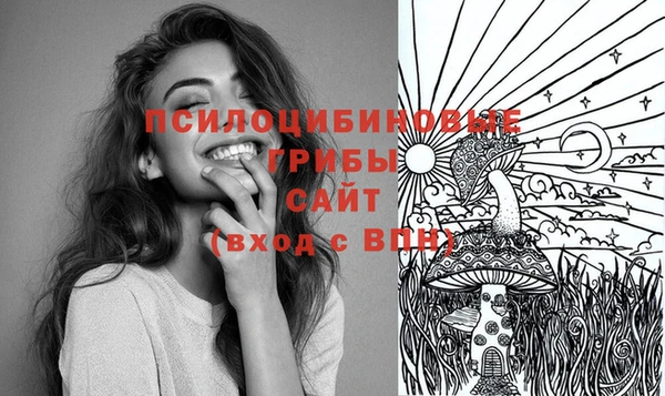 метамфетамин Заводоуковск