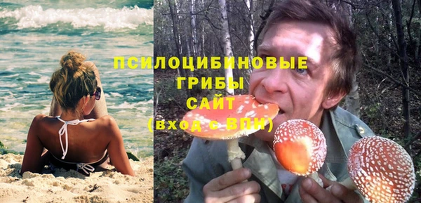 трава Алексин