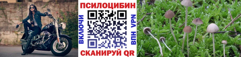 блэк спрут как зайти  Березники  Галлюциногенные грибы Cubensis 